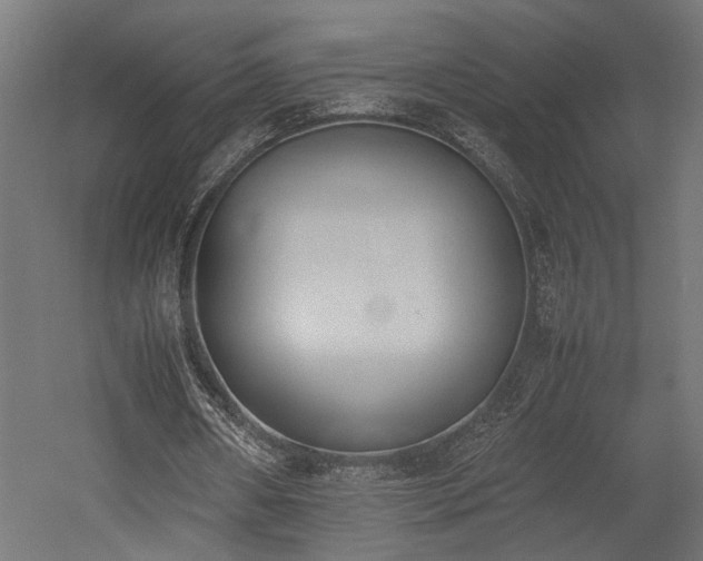 X0000052610482200507011231