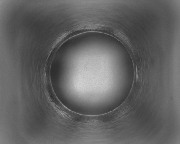 X0000052610483200507011231