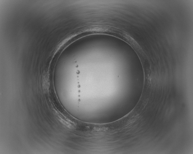 X0000052610484200507011231