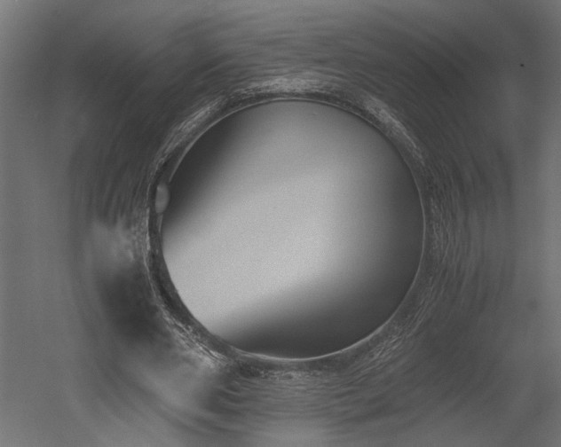 X0000052610486200507011231