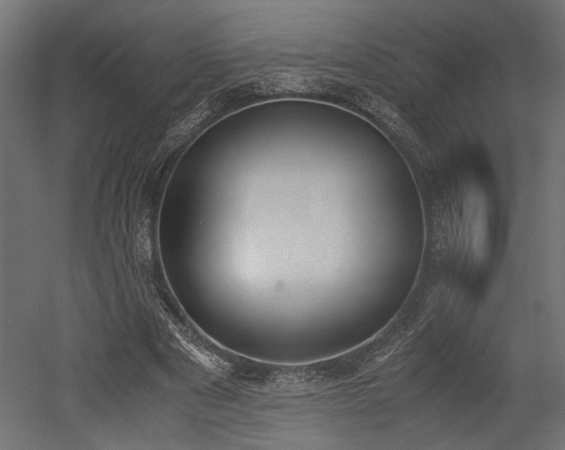 X0000052610489200507011231