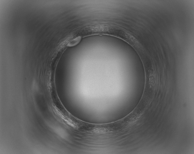 X0000052610490200507011231