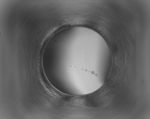 X0000052610491200507011231