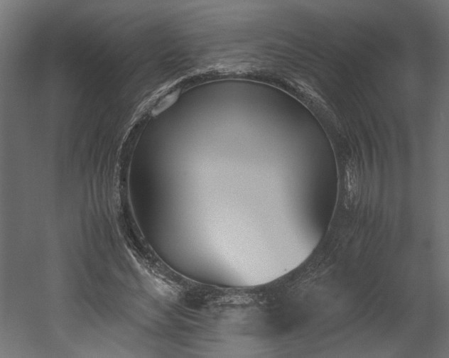 X0000052610492200507011231