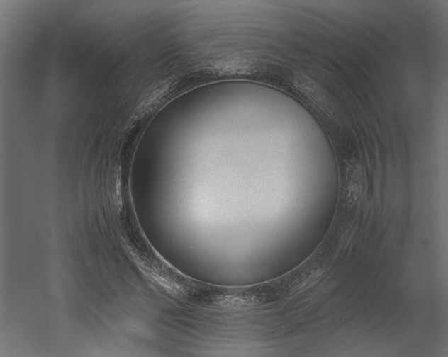 X0000052610494200507011231