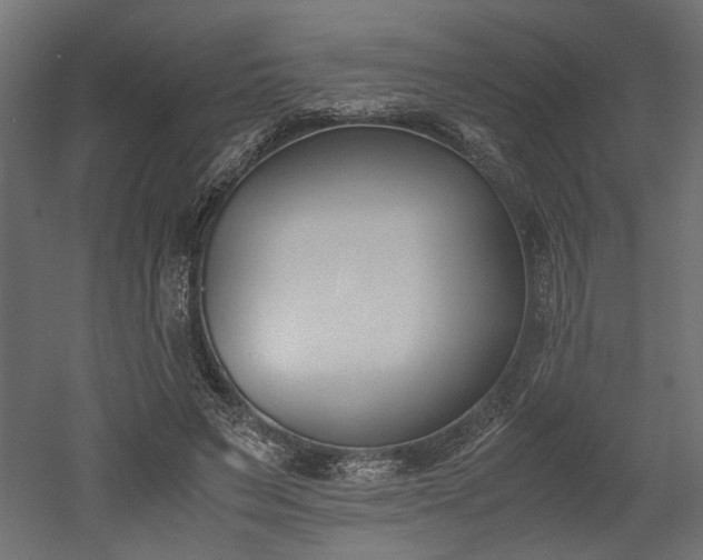 X0000052610495200507011231