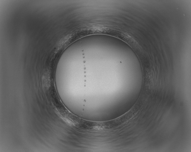 X0000052610496200507011231