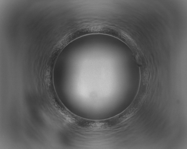 X0000052610497200507011231