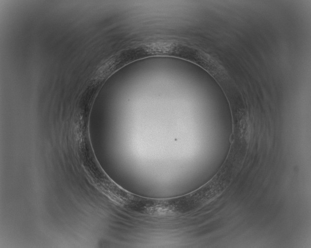 X0000052610498200507011231