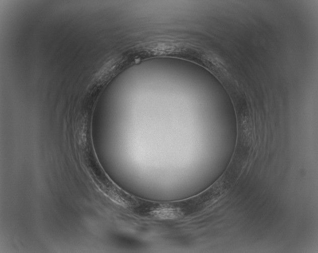 X0000052610499200507011231