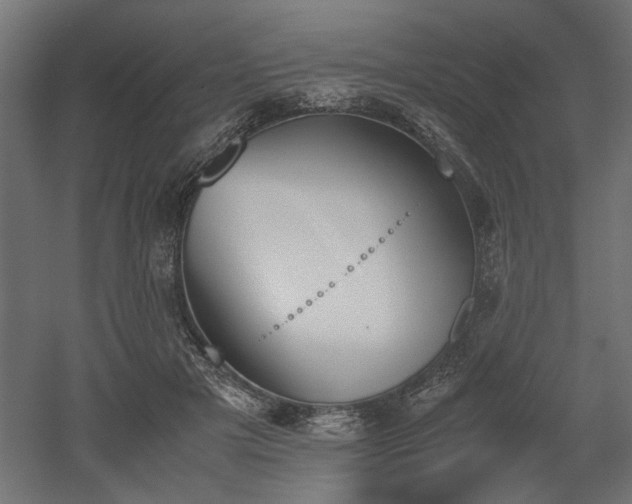 X0000052610505200507011231