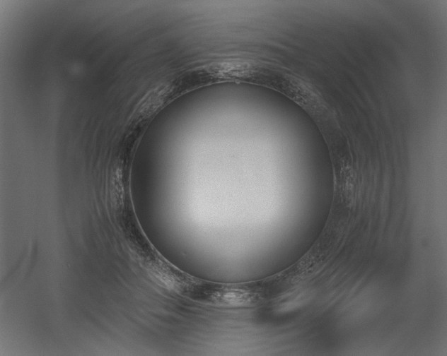 X0000052610506200507011231