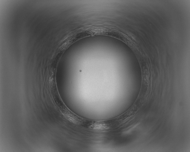 X0000052610507200507011231