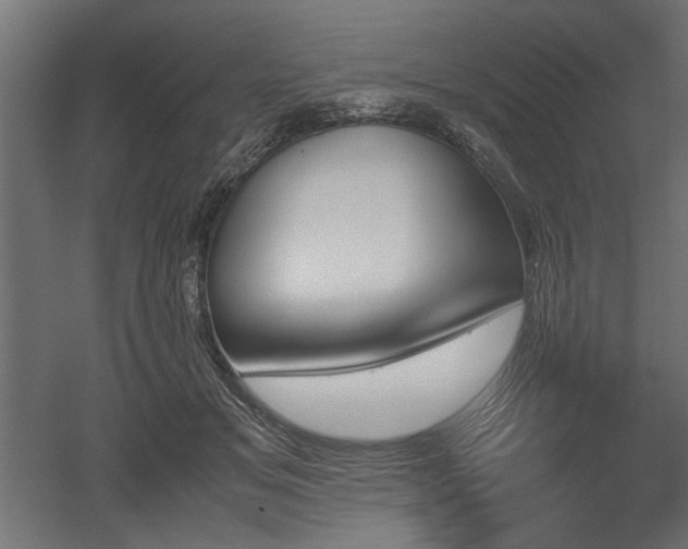 X0000052610509200507011231