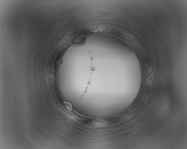 X0000052610510200507011231