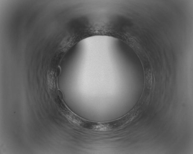 X0000052610511200507011231