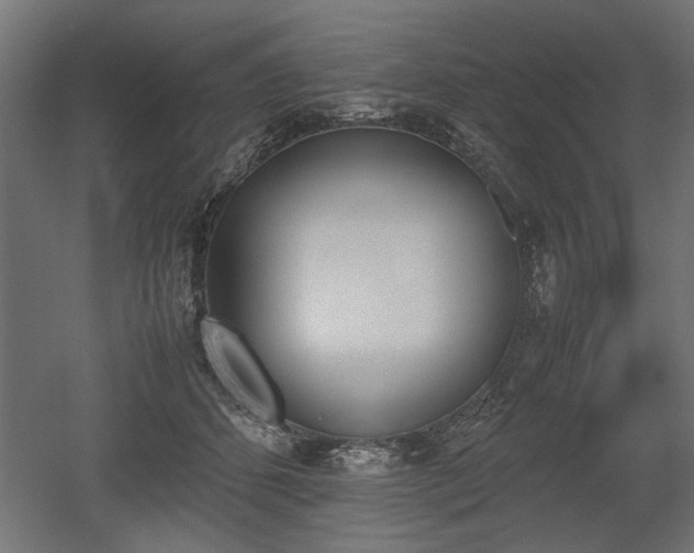 X0000052610512200507011231