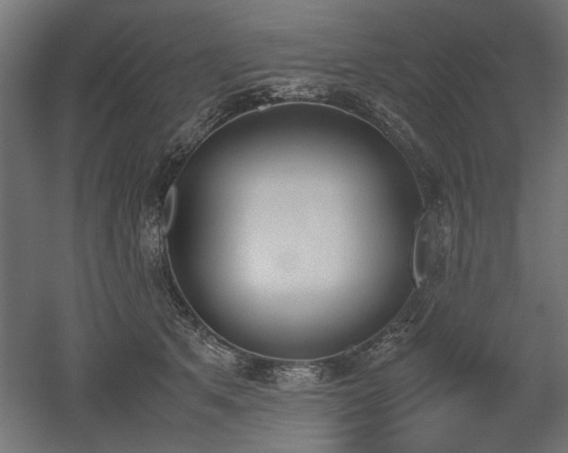 X0000052610513200507011231