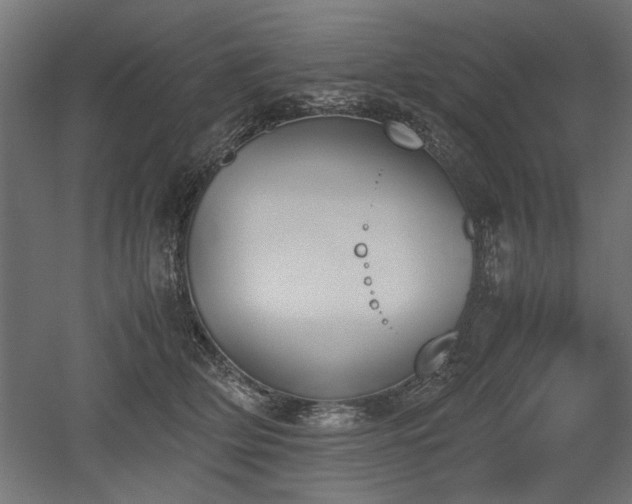 X0000052610514200507011231