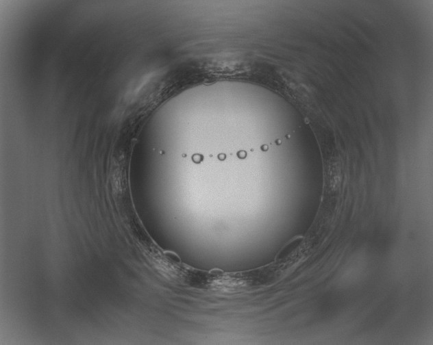 X0000052610515200507011231