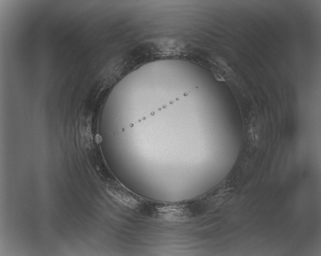 X0000052610516200507011231