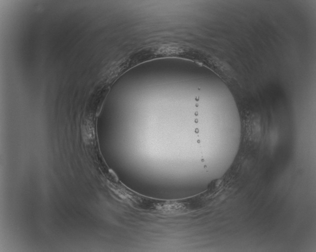 X0000052610517200507011231