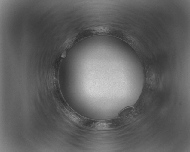 X0000052610518200507011231