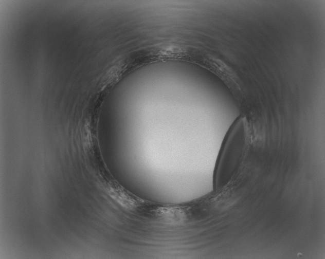 X0000052610520200507011231