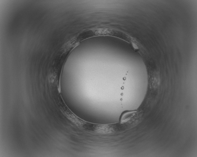 X0000052610521200507011231