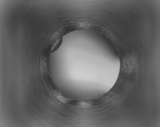 X0000052610522200507011231