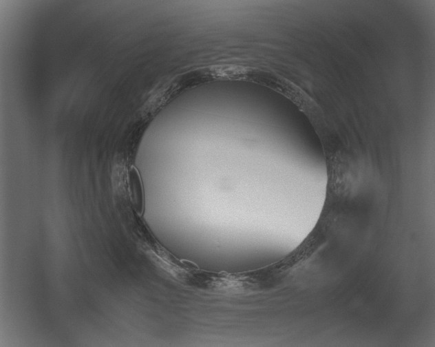 X0000052610523200507011231