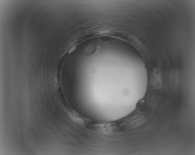 X0000052610524200507011231