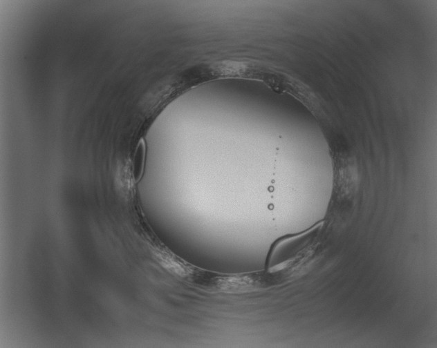 X0000052610525200507011231