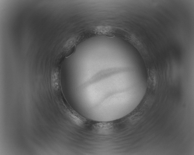 X0000052610526200507011230