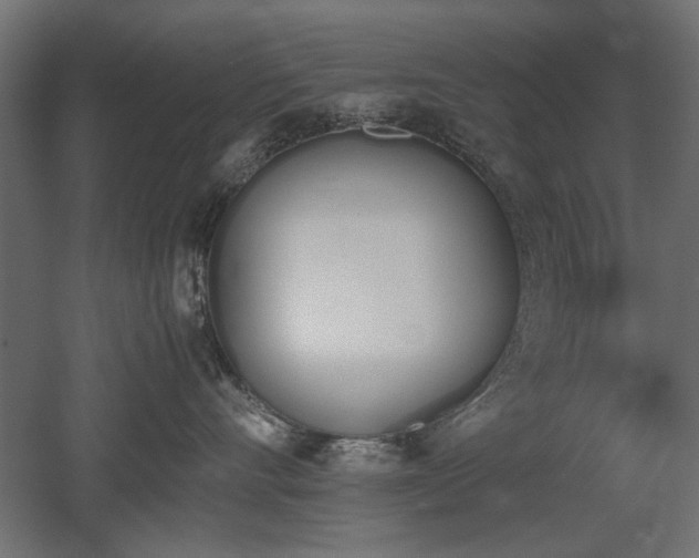 X0000052610528200507011230