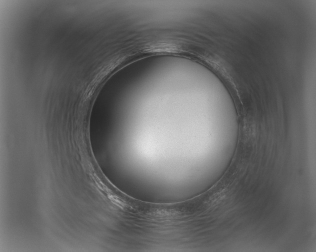 X0000052610529200507011230