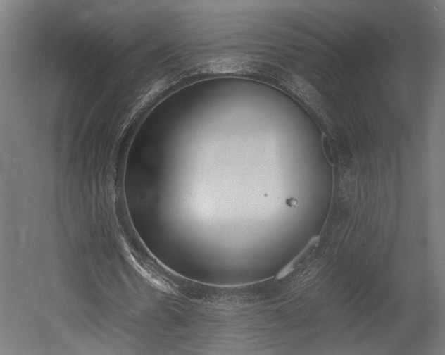 X0000052610530200507011230