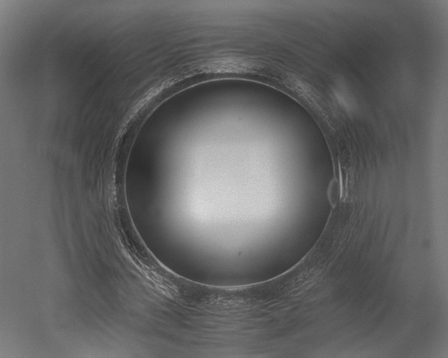 X0000052610531200507011230