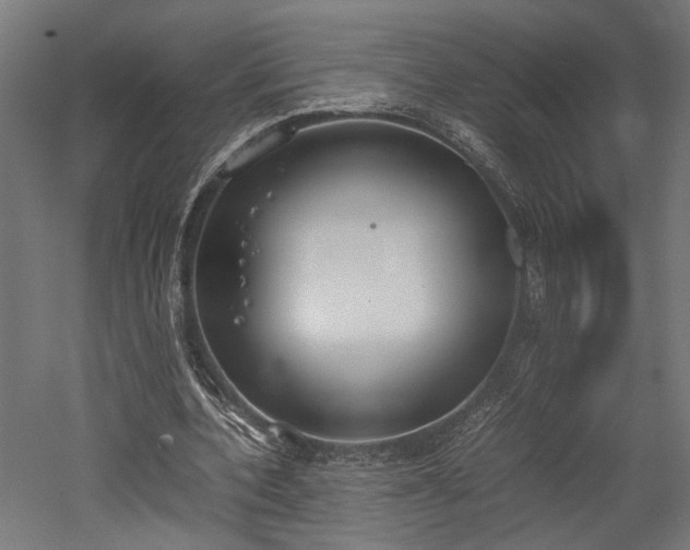 X0000052610532200507011230