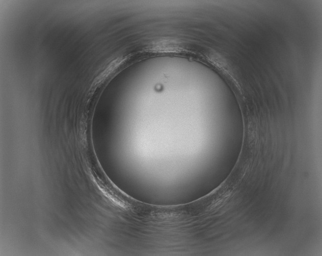 X0000052610533200507011230