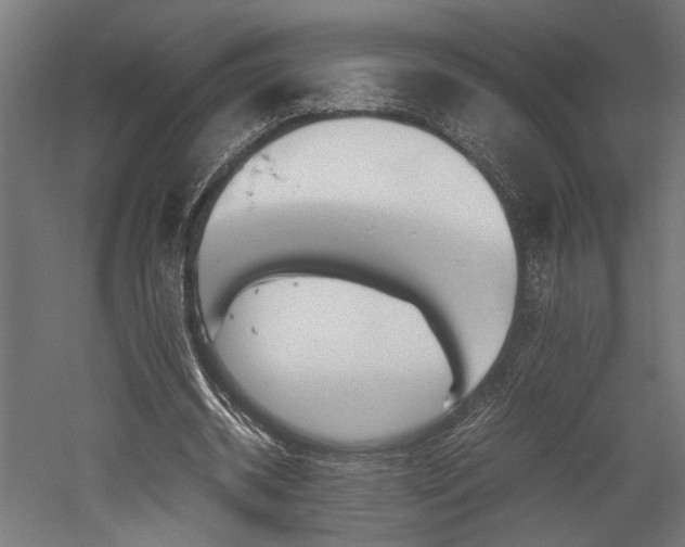 X0000052610534200507011230