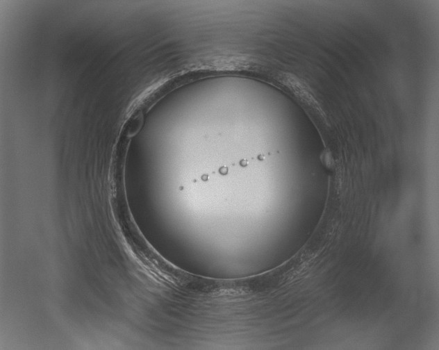 X0000052610536200507011230