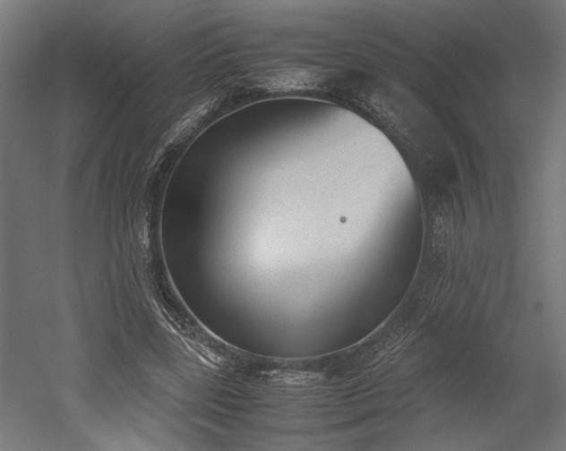 X0000052610539200507011230