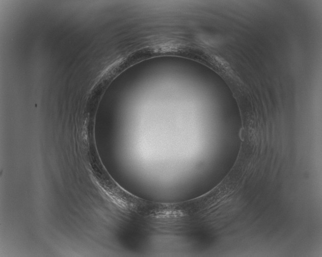 X0000052610543200507011230