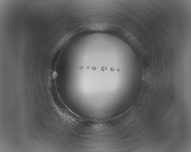 X0000052610544200507011230