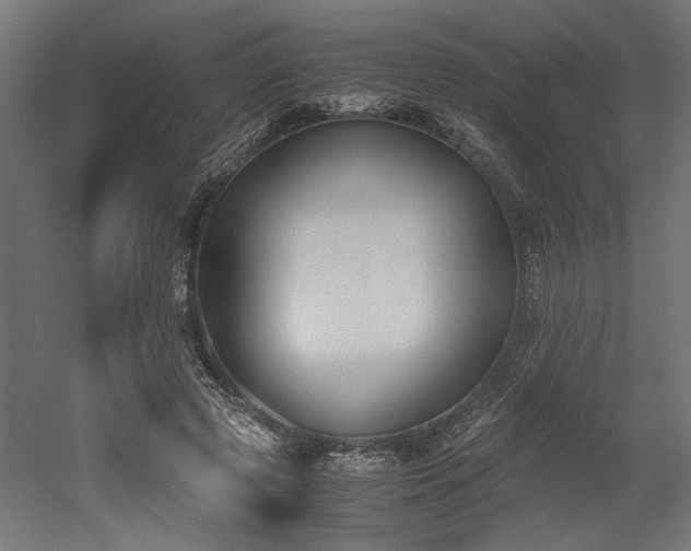 X0000052610545200507011230