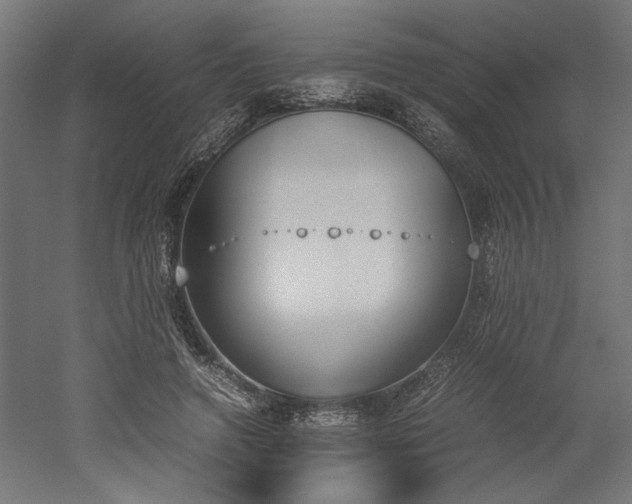 X0000052610546200507011230