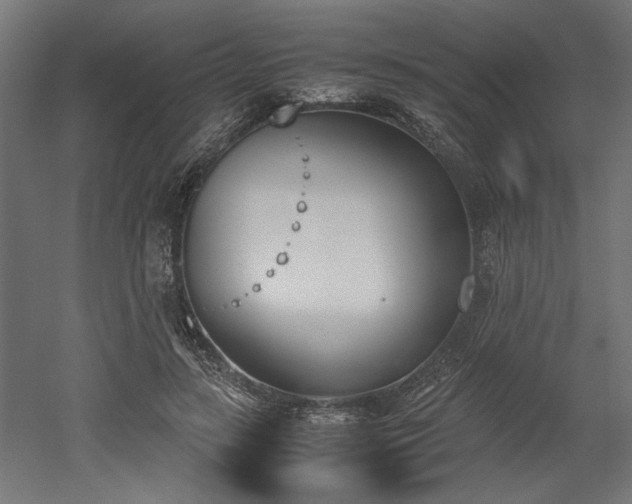 X0000052610547200507011230