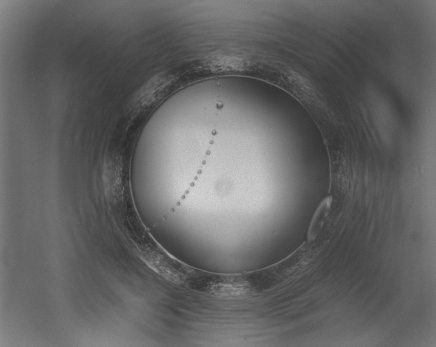 X0000052610548200507011230