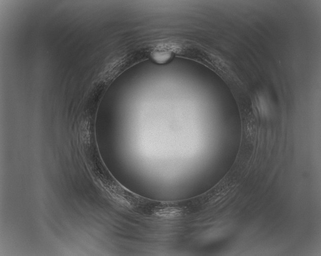 X0000052610551200507011230